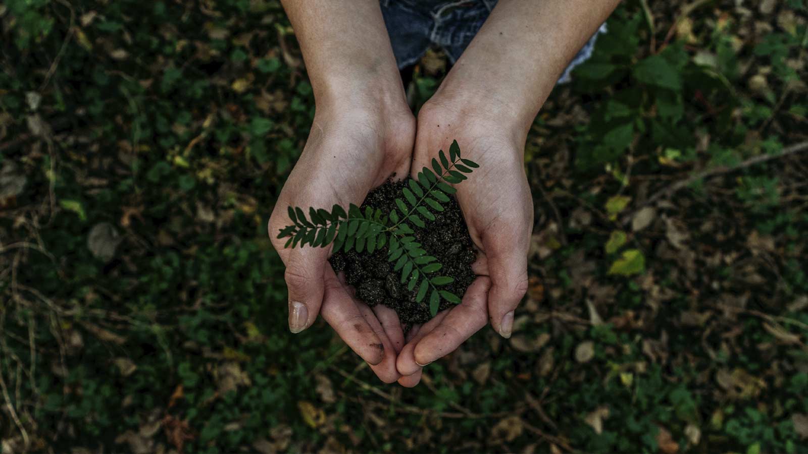 Causas sociais e Ambientais